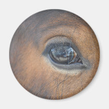 Got My Eye On You Refrigerator Magnet