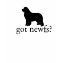 got newfs? T-Shirt