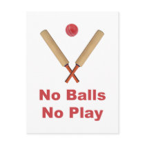Got No Balls Play Cricket Postcards