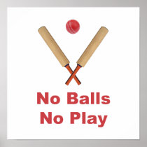 Got No Balls Play Cricket Print