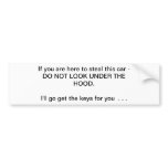 Got No Money Guide Anti-Theft Bumper Sticker 20