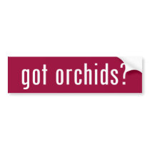 got orchids?