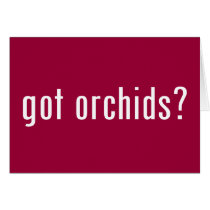 got orchids?