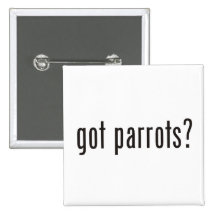got parrots? button