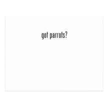 got parrots? postcard