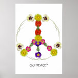Got Peace? posters