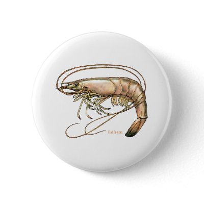 Got Shrimp by FishTs.com by FishTsdotcom