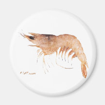 Got Shrimp by FishTs.com Refrigerator Magnet