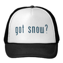 got snow trucker hat