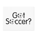 Got Soccer? Post Cards