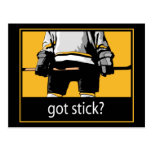 Got Stick Hockey Post Cards