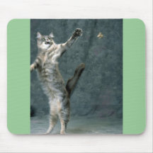 Got The Friskies Mousepads