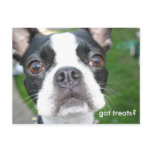 Got treats post cards