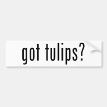 got tulips? bumper sticker