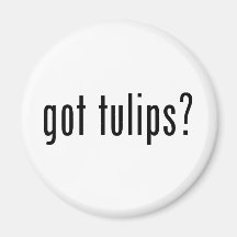 got tulips? fridge magnet