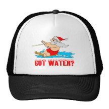 Got Water? Santa Mesh Hats