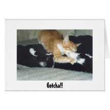 Gotcha! Card