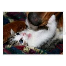 Gotcha! Greeting Card