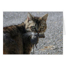 Gotcha! Greeting Card