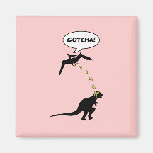 Gotcha Magnets