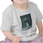 Gotcha T-shirts