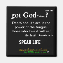 gotGod316.com Bible Scripture Magnet