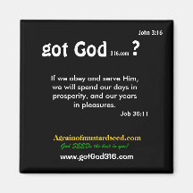 gotGod316.com Bible Scripture Magnet