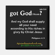 gotGod316.com Bible Scripture Magnets