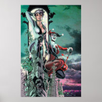 Gotham City Sirens Cv12_R1 Poster