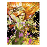 Gotham City Sirens Cv5-6-7 Postcards