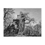 Gothic cemetery virgin Mary and baby Jesus statue Post Cards