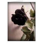 Gothic Dead Rose Card