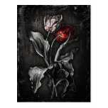 Gothic Tulips Postcard