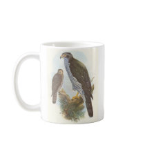 Gould - Accipiter gentilis Goshawk Bookstore Promo Mugs