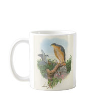 Gould - Accipiter nisus Sparrowhawk B/store Promo Mugs