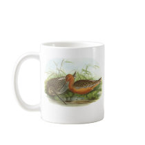 Gould - Bar-Tailed Godwit - Limosa lapponica Promo Mug