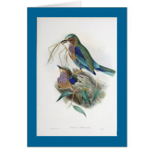Gould - Burmese Roller Greeting Cards