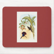 Gould - Lazuline Sabre-Wing Hummingbird Mouse Mats