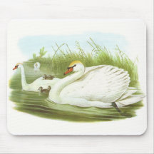 Gould - Mute Swan - Cygnus olor Mouse Mat