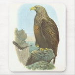 Gould - White-Tailed Eagle - Haliaetus albicilla Mouse Mats