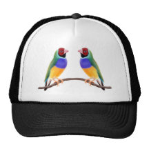GouldianFinch Friends Hats
