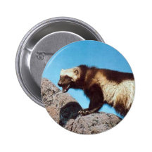 goupille de carcajou ! ! badges