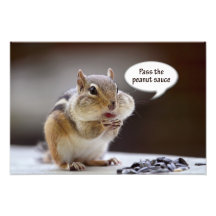 Gourmet Chef or Cook Chipmunk Photo