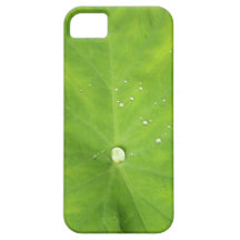 Gouttelettes d'eau de nature sur la caisse verte d coques Case-Mate iPhone 5