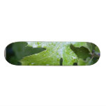 Gouttes de pluie de feuille de feuille plateaux de skateboards