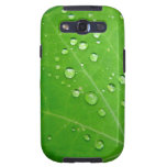 Gouttes de pluie rougeoyantes sur la feuille de na coques galaxy SIII