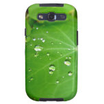 Gouttes de pluie sur la feuille de nasturce coques galaxy s3
