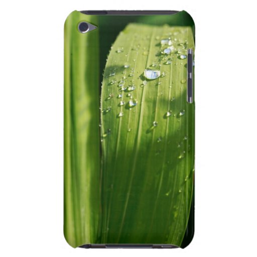 Gouttes de pluie sur la feuille verte coque Case-Mate iPod touch