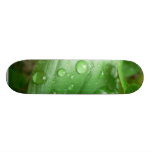 Gouttes de pluie sur la feuille verte skateboards personnalisés