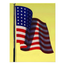 GOVERNMENT MILITARY OLD GLORY PARTY INVITATION